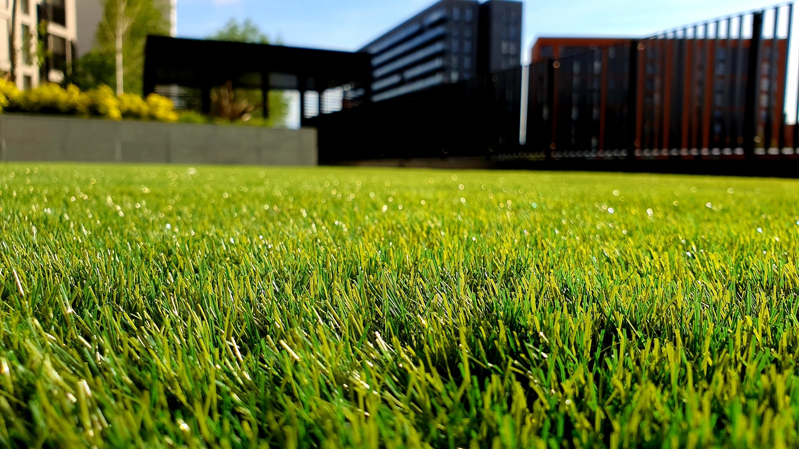 Florida landscaping and lawn